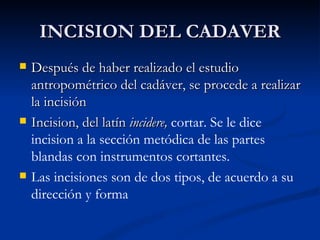 INCISION DEL CADAVER Después de haber realizado el estudio antropométrico del cadáver, se procede a realizar la incisión Incision, del latín  incidere,  cortar. Se le dice incision a la sección metódica de las partes blandas con instrumentos cortantes. Las incisiones son de dos tipos, de acuerdo a su dirección y forma  