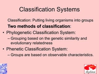 Comprehensive Overview of Bacterial Taxonomy: Naming, Classification ...