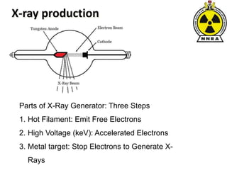 X-ray production
Parts of X-Ray Generator: Three Steps
1. Hot Filament: Emit Free Electrons
2. High Voltage (keV): Accelerated Electrons
3. Metal target: Stop Electrons to Generate X-
Rays
 