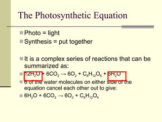The Photosynthetic Equation Photo = light Synthesis = put together It is a complex series of reactions that can be summarized as: 12H 2 O + 6CO 2  -> 6O 2  + C 6 H 12 O 6  + 6H 2 O 6 of the water molecules on either side of the equation cancel each other out to give: 6H 2 O + 6CO 2  -> 6O 2  + C 6 H 12 O 6 