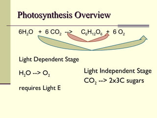 Photosynthesis Overview 6H 2 O  +  6 CO 2   -->  C 6 H 12 O 6  +  6 O 2 Light Dependent Stage H 2 O --> O 2 requires Light E Light Independent Stage CO 2  --> 2x3C sugars 