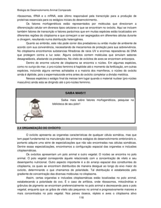 Biologia do Desenvolvimento Animal Comparado
118
ribossomas, tRNA e o mRNA, este último responsável pela transcrição para a produção de
proteínas essenciais para os estágios iniciais do desenvolvimento.
Os fatores morfogenéticos estão representados por moléculas que direcionam a
diferenciação celular em diversos tipos celulares e que se encontram no ovócito. Aqui se incluem
também fatores de transcrição e fatores parácrinos que em muitas espécies estão localizados em
diferentes regiões do citoplasma e que começam a ser segregados em diferentes células durante
a clivagem, resultando numa distribuição heterogênea.
Quanto ao embrião, este não pode correr dos predadores ou então mudar de ambiente de
acordo com sua conveniência, necessitando de mecanismos de proteção para sua sobrevivência.
No citoplasma encontramos substancias filtradoras de raios UV e enzimas reparadoras do DNA
que protegem contra a luz solar. Alguns ovócitos contem moléculas que simulam sabores
desagradáveis, afastando os predadores. No vitelo de ovócitos de aves se encontram anticorpos.
Dentro do enorme volume de citoplasma se encontra o núcleo. Em algumas espécies,
como no ouriço-do-mar, o pro-núcleo feminino é haplóide até o momento da fertilização, em outras
espécies, incluindo alguns vermes achatados e a maioria dos mamíferos, o núcleo do ovócito
ainda é diplóide, pois o espermatozoide entra antes do ovócito completar a divisão meiótica.
Nessas espécies o estágio final da meiose tem lugar quando o material nuclear (pro-núcleo
masculino) ainda esta se dirigindo até o pro-núcleo feminino.
SAIBA MAIS!!!
Saiba mais sobre fatores morfogenéticos, pesquise na
biblioteca de seu polo!!
2.4 ORGANIZAÇÃO DO OVÓCITO
O ovócito apresenta as organelas características de qualquer célula somática, mas que
tem papel fundamental na manutenção dos primeiros estágios do desenvolvimento embrionário e,
portanto adquire uma série de especializações que não são encontradas nas células somáticas.
Dentre essas especializações, encontramos a configuração espacial das organelas e inclusões
citoplasmáticas.
Os ovócitos apresentam um polo animal e outro vegetal. O núcleo se encontra no polo
animal. O polo vegetal corresponde àquele relacionado com a concentração de vitelo e seu
desempenho nutricional. Outro aspecto importante é a do arranjo espacial dos constituintes do
citoplasma, os quais se encontram distribuídos de maneira desigual ao longo do eixo maior do
ovócito, determinando o que chamamos de polaridade. Tal distribuição é estabelecida pelo
gradiente de concentração das diversas moléculas no citoplasma.
Assim, certas organelas e inclusões citoplasmáticas estão localizadas no polo animal,
estabelecendo a polaridade do ovo. É o caso de anfíbios, onde ribossomos, mitocôndrias e
grânulos de pigmento se encontram preferencialmente no polo animal e decrescendo para o polo
vegetal, enquanto que os grãos de vitelo são pequenos no animal e progressivamente maiores e
mais concentrados no polo vegetal. Nos peixes ósseos, répteis e aves o citoplasma ativo
 