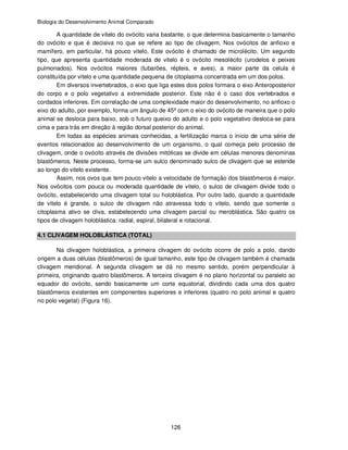 Biologia do Desenvolvimento Animal Comparado
126
A quantidade de vitelo do ovócito varia bastante, o que determina basicamente o tamanho
do ovócito e que é decisiva no que se refere ao tipo de clivagem. Nos ovócitos de anfioxo e
mamífero, em particular, há pouco vitelo. Este ovócito é chamado de microlécito. Um segundo
tipo, que apresenta quantidade moderada de vitelo é o ovócito mesolécito (urodelos e peixes
pulmonados). Nos ovócitos maiores (tubarões, répteis, e aves), a maior parte da celula é
constituída por vitelo e uma quantidade pequena de citoplasma concentrada em um dos polos.
Em diversos invertebrados, o eixo que liga estes dois polos formara o eixo Anteroposterior
do corpo e o polo vegetativo a extremidade posterior. Este não é o caso dos vertebrados e
cordados inferiores. Em correlação de uma complexidade maior do desenvolvimento, no anfioxo o
eixo do adulto, por exemplo, forma um ângulo de 45º com o eixo do ovócito de maneira que o polo
animal se desloca para baixo, sob o futuro queixo do adulto e o polo vegetativo desloca-se para
cima e para trás em direção à região dorsal posterior do animal.
Em todas as espécies animais conhecidas, a fertilização marca o início de uma série de
eventos relacionados ao desenvolvimento de um organismo, o qual começa pelo processo de
clivagem, onde o ovócito através de divisões mitóticas se divide em células menores denominas
blastômeros. Neste processo, forma-se um sulco denominado sulco de clivagem que se estende
ao longo do vitelo existente.
Assim, nos ovos que tem pouco vitelo a velocidade de formação dos blastômeros é maior.
Nos ovócitos com pouca ou moderada quantidade de vitelo, o sulco de clivagem divide todo o
ovócito, estabelecendo uma clivagem total ou holoblástica. Por outro lado, quando a quantidade
de vitelo é grande, o sulco de clivagem não atravessa todo o vitelo, sendo que somente o
citoplasma ativo se cliva, estabelecendo uma clivagem parcial ou meroblástica. São quatro os
tipos de clivagem holoblástica: radial, espiral, bilateral e rotacional.
4.1 CLIVAGEM HOLOBLÁSTICA (TOTAL)
Na clivagem holoblástica, a primeira clivagem do ovócito ocorre de polo a polo, dando
origem a duas células (blastômeros) de igual tamanho, este tipo de clivagem também é chamada
clivagem meridional. A segunda clivagem se dá no mesmo sentido, porém perpendicular à
primeira, originando quatro blastômeros. A terceira clivagem é no plano horizontal ou paralelo ao
equador do ovócito, sendo basicamente um corte equatorial, dividindo cada uma dos quatro
blastômeros existentes em componentes superiores e inferiores (quatro no polo animal e quatro
no polo vegetal) (Figura 16).
 