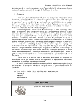 Biologia do Desenvolvimento Animal Comparado
139
somitos e estende-se posteriormente a esse ponto. A separação final da notocorda da endoderme
do arquentero só ocorrerá depois da formação de 9 a 10 pares de somitos.
Mesoderme
A mesoderme, de cada lado da notocorda, começa a se desprender do teto do arquentero.
Inicialmente, dobra-se para formar um par de sulcos longitudinais com a concavidade voltada para
o arquentero. O somito mesodérmico, que assim se forma, possui inicialmente uma cavidade
contínua com o arquentero, formando bolsas enterocelomáticas. Depois dos blocos mesodérmicos
terem se desprendido, continuam a crescer ventralmente, de cada lado, até se encontrarem e se
fundirem na linha média, abaixo da linha do tubo digestivo.
Ventralmente perdem a metamerização. A mesoderme que se infiltra e escorrega entre a
ecto e a endoderme, forma a mesoderme lateral, que, por delaminação formará a cavidade
celomática. O folheto da mesoderme junto a endoderme forma a esplancnopleura, enquanto a
mesoderme junto à ectoderme forma a somatopleura. Entre o somito e a mesoderme lateral,
forma-se a mesoderme intermediária. Durante o processo de gastrulação, as células da
ectoderma desenvolvem cílios que permitem a rotação dentro da membrana do ovo. Ao destacar-
se desta membrana, os cílios que são conservados, contribuem para a locomoção da jovem larva.
Ao concluirmos o estudo da gastrulação do anfioxo, podemos traçar uma comparação com
o desenvolvimento dos equinodermos e dos vertebrados. Por alguns aspectos, o anfioxo
apresenta a simplicidade do ouriço-do-mar, pela invaginação da endoderme para a formação do
arquentero e pela comunicação desse com o exterior por um pequeno blastóporo. No ouriço-
domar, a mesoderme primária é formada por migração ativa dos micrômeros para o interior da
gástrula, e as vesículas celomáticas são provenientes de processos que se destacam do teto do
arquentero.
A união inicial e a maneira como a mesoderme destacam-se do arquentero são
comparáveis com o que acontece com os balanoglossos e os equinodermos, reforçando a
possibilidade de parentesco desses com os cordados.
No anfioxo, observa-se aumento de complexidade no seu desenvolvimento pela aquisição
da notocorda e a consequente indução de uma placa neural e, aproximando-se assim, aos
vertebrados.
PRINCIPAIS MOVIMENTOS DA GASTRULAÇÃO DO AMPHIOXUS
• Involução
• Epibolia
• Convergência
FIQUE DE OLHO!!!
Continue, a leitura é importante!!
 