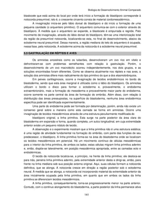 Biologia do Desenvolvimento Animal Comparado
141
blastocele que está acima do local por onde terá início a formação do blastóporo corresponde à
notocorda presumível, isto é, o crescente cinzento consta de material cordomesodérmico.
A invaginação inicia-se pelo lábio dorsal do blastóporo e dá início a formação de uma
pequena cavidade (o arquentero primitivo). O arquentero comunica-se com o exterior através do
blastóporo. À medida que o arquentero se expande, a blastocele é empurrada e regride. Pelo
movimento de invaginação, através do lábio dorsal do blastóporo, têm-se uma interiorização total
da região da presumível notocorda, localizando-se esta, no final do desenvolvimento, abaixo da
ectoderme neural presumível. Dessa maneira, a região mediana do teto do arquentero é ocupada,
nessa fase, pela notocorda. A ectoderme acima da notocorda é a ectoderme neural presumível.
5.5 GASTRULAÇÃO EM RÉPTEIS E AVES
Os amniotas ancestrais como os tubarões, desenvolveram um ovo rico em vitelo e
defrontraram-se com problemas semelhantes com relação à gastrulação. Porém, o
desenvolvimento de um ovo macrolécito ocorreu independentemente, nos dois grupos, e as
soluções encontradas foram diferentes. Como se observa atualmente nos répteis e nas aves, a
solução dos amniotas difere mais radicalmente do tipo primitivo do que a dos elasmobrânquios.
Em peixes cartilaginosos, ocorre a invaginação de tecidos endodérmicos no bordo do
blastoderma, sendo que esta área marginal é utilizada como o lábio do blastóporo. Os amniotas
utilizam o bordo o disco para formar o ectoderma e, provavelmente, o endoderma
extraembrionário, mais a formação do mesoderma e provavelmente maior parte do endoderma,
ocorre somente na parte central da área de formação do embrião. Além disso, com relação à
distribuição das áreas pressupostas, na superfície do blastoderma, nenhuma área endodérmica
específica pode ser identificada experimentalmente.
Uma parte do endoderma pode ser formada por delaminação, porém, ainda não existe um
consenso geral sobre a maneira como esta camada se forma em amniotas. Ocorre uma
invaginação de tecidos mesodérmicos através de uma estrutura peculiarmente modificada do
blastóporo original, a linha primitiva. Esta surge na parte posterior da área clara do
blastoderma em expansão e forma, quando completa, um sulco longitudinal, em cuja extremidade
anterior existe um pequeno nódulo de tecido.
A observação e o experimento mostram que a linha primitiva não é uma estrutura estática;
é uma região de atividade fundamental na formação do embrião, com parte das funções de seu
predecessor, o blastóporo. A linha primitiva forma-se na área do blastoderma onde se localizam
os tecidos mesodérmicos em potencial. Há um movimento contínuo de células mesodérmicas
para o interior da linha primitiva, de ambos os lados; estas células migram linha primitiva adentro
e, então, dispõe-se lateralmente, em posição mesodérmica apropriada, entre as camadas ecto e
endodérmicas.
O tecido da notocorda localiza-se, a princípio, na frente da linha primitiva; ele desloca-se
para trás, penetra linha primitiva adentro, pela extremidade anterior desta e dirigi-se, então, para
frente na linha mediana sob sua posição externa original. Aqui, suas células formam a notocorda
definitiva, que se alonga. A notocorda cresce em direção a região posterior sob o ectoderma
neural. À medida que se alonga, a notocorda vai incorporando material da extremidade anterior da
área inicialmente ocupada pela linha primitiva, em quanto que em ambos os lados da linha
primitiva se diferenciam tecidos mesodérmicos.
A linha primitiva, consequentemente, torna-se progressivamente menor na parte anterior.
Contudo, com o continuo alongamento do blastoderma, a parte posterior da linha permanece ativa
 