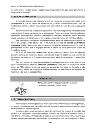Biologia do Desenvolvimento Animal Comparado
142
por muito tempo, e outros tecidos mesodérmicos nela penetram, dos dois lados, para formar a
região posterior do corpo.
6. CÉLULAS GERMINATIVAS
A formação dos gametas masculino e feminino representa o processo conhecido como
gametogênese, e que tais células se encontram nas gônadas, tanto de vertebrados como de
invertebrados, sendo as células responsáveis pela continuidade da vida de uma geração para
outra.
Em diversos animais, se observa precocemente uma diferenciação entre células somáticas
e germinativas (insetos, nematelmintos e vertebrados). Porém, em vários filos não esta bem
estabelecida essa separação (cnidários, platelmintos e tunicados), sendo que nessas espécies
células somáticas podem diferenciar-se em células germinativas, mesmo em indivíduos adultos.
Nos organismos que possuem células germinativas, estas não se formam propriamente no
interior da gônada, estas células têm como suas precursoras as células germinativas
primordiais (PGCs), elas migram para o interior da gônada em desenvolvimento. Por tanto, a
gametogênese se inicia com a migração das PGCs através do sulco genital para o local de
formação da gônada.
As PGCs em anfíbios se concentram na região posterior do intestino larval, e a migração
da ocorre ao longo do mesentério dorsal, e daí através da parede abdominal para o dentro do
sulco genital até chegarem à gônada em desenvolvimento. Migração semelhante é observada em
mamíferos.
Nas aves e répteis, a migração das células germinativas primordiais ocorre a partir de uma
região extraembrionária chamada crescente germinativo, onde elas se multiplicam. Nesta
região, as PGCs utilizam a corrente sanguínea, penetrando nos vasos em formação e são
carreadas até a região de formação do intestino posterior de onde saem e se associam ao
mesentério e daí para os sulcos genitais.
PERGUNTAS???
Achou interessante? Pesquise mais sobre o assunto
Lembre-se, o professor poderá ajudar!!
7. DETERMINAÇÃO SEXUAL
O processo da determinação sexual de um organismo é determinado por fatores génicos e,
em acertas circunstâncias pela interação ambiental. No entanto, esses mecanismos podem atuar
diferentemente nas diversas espécies.
A determinação sexual primária no caso de mamíferos, diz respeito à formação das
gônadas, e é determinada cromossomicamente, onde não há influencia do ambiente, sendo o
macho XY e a fêmea XX. A fêmea produz óvulos que carregam um cromossomo X, enquanto que
o macho produz espermatozoides que carregam um cromossomo Y ou um cromossomo X. Assim,
 
