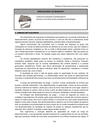 Biologia do Desenvolvimento Animal Comparado
105
AREGAÇANDO AS MANGAS!!!
A leitura foi suficiente e esclarecedora?
Escreva numa folha outros exemplos de homologias.
5. ANIMAIS METAZOARIOS
Os metazoários são organismos multicelulares que passam por um período embrionário de
desenvolvimento, porém, do ponto de vista evolutivo, o ciclo de vida não é unidirecional, tendo
seguido diversos caminhos: esponjas diploblásticas, protostomados e deuterostomados.
Alguns taxonomistas não concordam com a inclusão das esponjas no grupo dos
metazoários em virtude do desenvolvimento ser diferente ao de outro animal, seja com relação à
formação de estruturas verdadeira ou não ou então à diferenciação celular, podendo formar ou
não o folheto germinativo mesodérmico ou um sistema orgânico verdadeiro. Mas que passa por
um período embrionário e larval. Tal situação sugere que esses organismos têm uma origem
comum.
Os animais diploblásticos somente têm ectoderma e endoderma, não possuindo um
mesoderma verdadeiro. Neste grupo se incluem os Cnidários, hidras e ctenoforos. Possuem
simetria radial, enquanto que os animais triploblásticos têm simetria bilateral e a camada
germinativa mesodérmica. Porém, esta tênue demarcação de características é questionada
atualmente em decorrência de alguns indivíduos deste filo apresentam mesoderma e simetria
bilateral e outros não, como a hydra.
A elucidação de como a rede de genes usada na organização do eixo corpóreo, da
formação das camadas germinativas, e a diferenciação celular são áreas do desenvolvimento
ricas para a compreensão dos eventos que levam ao acontecimento da diversidade multicelular da
vida.
O grupo dos protostomados (do grego – primeiro a boca) compreende os animais que
durante o período embrionário, mais especificamente na gastrulação, a boca se forma primeiro,
próxima à abertura do intestino, sendo que o ânus se forma mais tarde em outro lugar. Quanto à
cavidade corpórea ou celoma, esta se forma a partir da diferenciação de um grupo cordonal de
células mesodérmicas. Neste grupo se incluem os moluscos, artrópodes e animais achatados.
Na linhagem dos deuterostomados (do grego – a boca em segundo) se incluem os
cordados e equinodermos. No entanto, pode causar estranheza a inclusão dos humanos, peixes e
sapos no mesmo grupo, bem como o peixe estrela, e o ouriço-do-mar, pois certas características
depõem contra essa inclusão. Nos deuterostomados a abertura oral se forma depois da abertura
anal, as cavidades nos protostomados se forma a partir de um cordão mesodérmico enquanto que
nos deuterostomados as cavidades se originam de bolsas ou espaços mesodermais que se
estendem até o intestino. Exceções a essas regras também existem.
Nos organismos a evolução depende da capacidade de mudar ao longo do
desenvolvimento, e um dos grandes avanços evolutivos foi o aparecimento do ovo nos amniotas,
algo que aconteceu milhões de anos atrás, provavelmente nos anfíbios ancestrais dos repteis. O
 