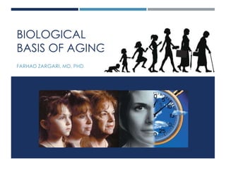 BIOLOGICAL
BASIS OF AGING
FARHAD ZARGARI, MD, PHD
 