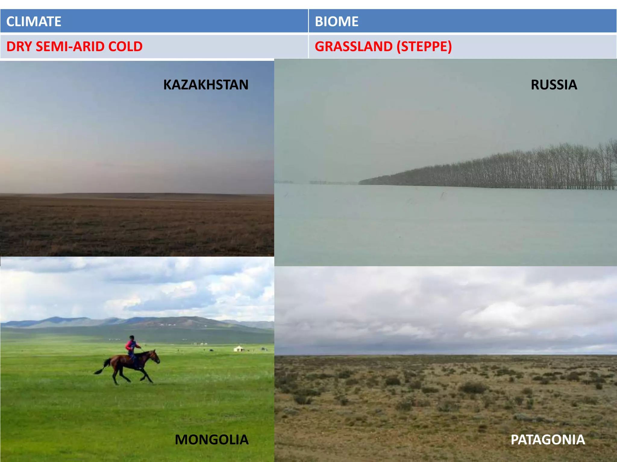 CLIMATE                           BIOME
DRY SEMI-ARID COLD                GRASSLAND (STEPPE)

                     KAZAKHSTAN                          RUSSIA




                      MONGOLIA                         PATAGONIA
 