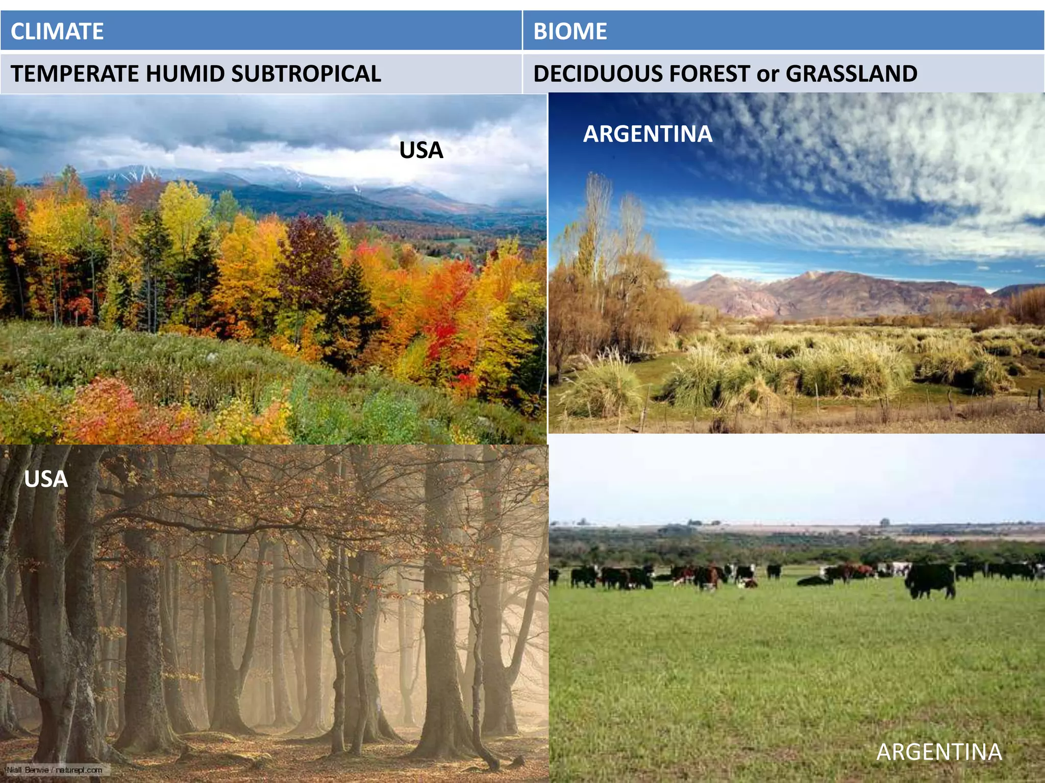 CLIMATE                             BIOME
TEMPERATE HUMID SUBTROPICAL         DECIDUOUS FOREST or GRASSLAND

                                       ARGENTINA
                              USA




USA




                                                             ARGENTINA
 