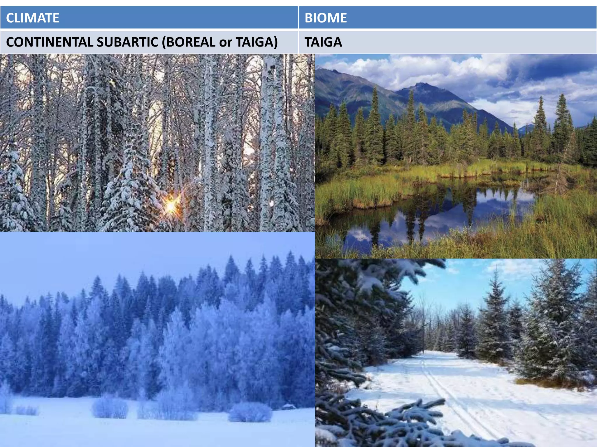 CLIMATE                                  BIOME
CONTINENTAL SUBARTIC (BOREAL or TAIGA)   TAIGA
 