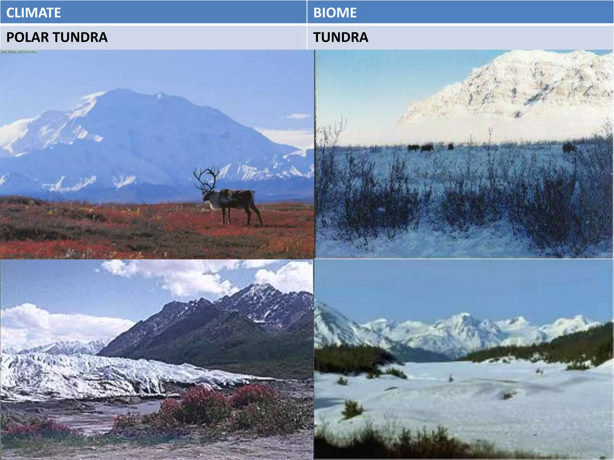 CLIMATE        BIOME
POLAR TUNDRA   TUNDRA
 