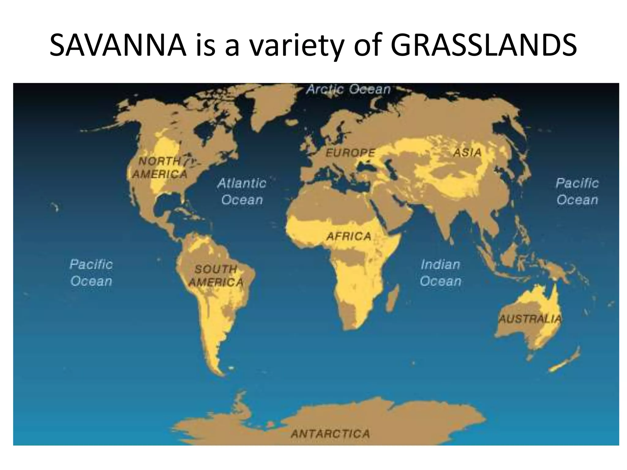 SAVANNA is a variety of GRASSLANDS
 