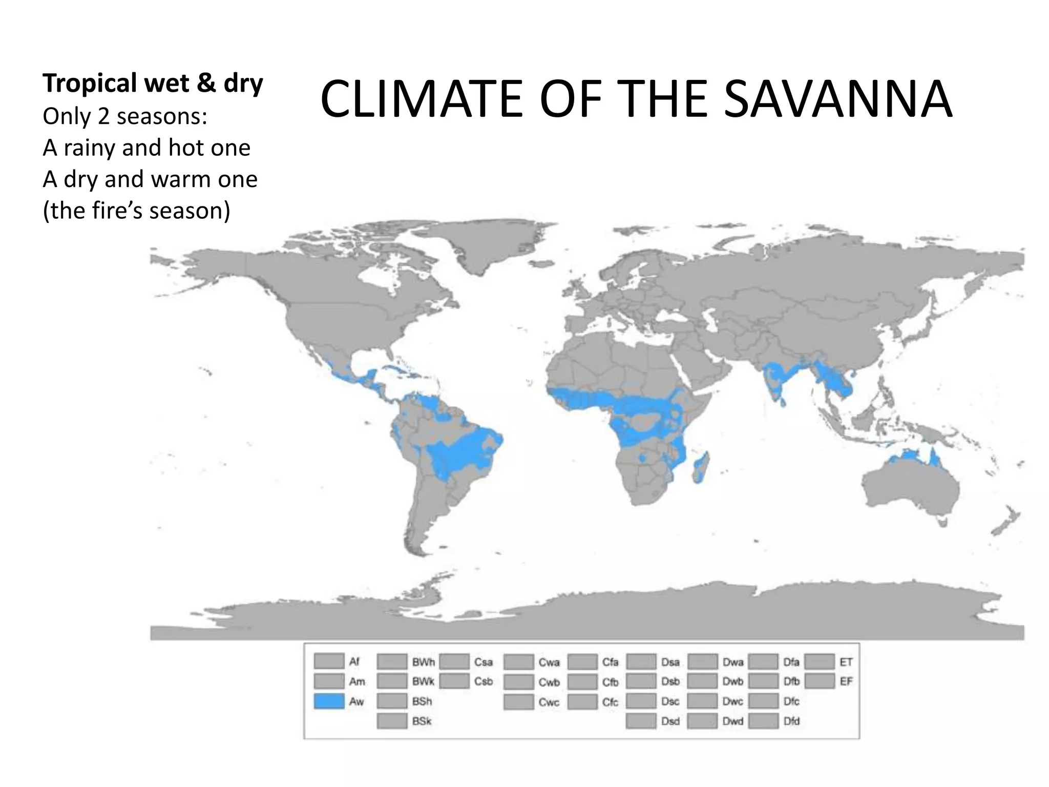 Tropical wet & dry
Only 2 seasons:       CLIMATE OF THE SAVANNA
A rainy and hot one
A dry and warm one
(the fire’s season)
 