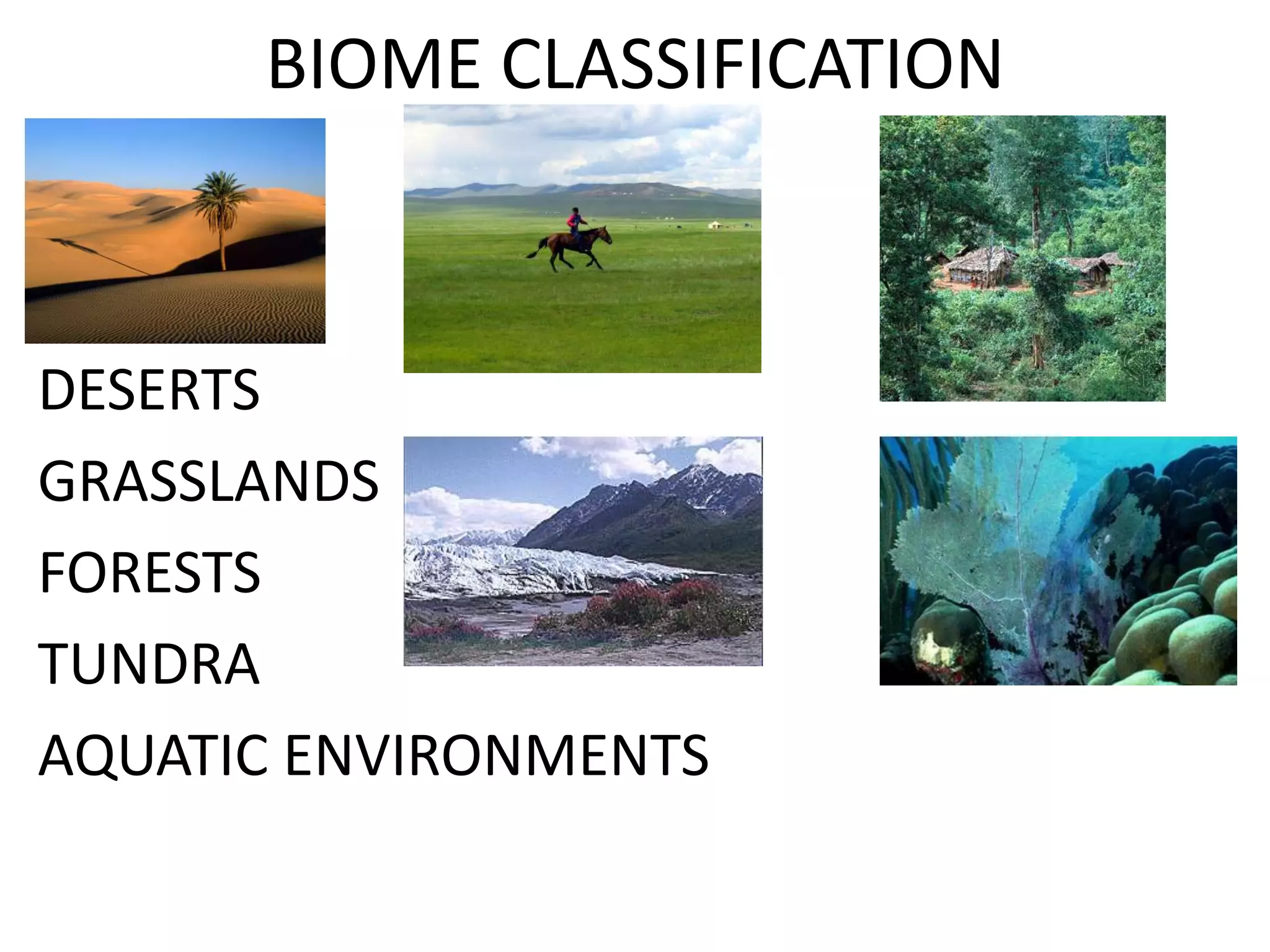 BIOME CLASSIFICATION



DESERTS
GRASSLANDS
FORESTS
TUNDRA
AQUATIC ENVIRONMENTS
 