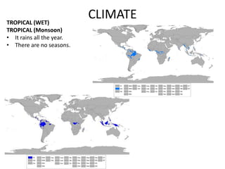 3. biomes | PPTX
