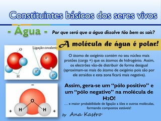 Constituintes básicos dos seres vivos
          Por que será que a água dissolve tão bem os sais?

             A molécula de água é polar!
                  O átomo de oxigénio contém no seu núcleo mais
                protões (carga +) que os átomos de hidrogénio. Assim,
                   os electrões vão-de distribuir de forma desigual
               (aproximam-se mais do átomo de oxigénio pois são por
                     ele atraídos e esta zona ficará mais negativa).

               Assim, gera-se um “pólo positivo” e
               um “pólo negativo” na molécula de
                              H2O!
               … e maior probabilidade de ligação a iões e outras moléculas,
                            formando compostos estáveis!
              by   Ana Kastro
 
