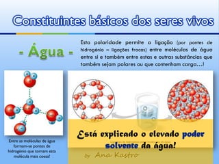 Constituintes básicos dos seres vivos
                             Esta polaridade permite a ligação (por pontes de
                             hidrogénio – ligações fracas) entre moléculas de água
                             entre si e também entre estas e outras substâncias que
                             também sejam polares ou que contenham carga…!




                             Está explicado o elevado poder
Entre as moléculas de água
   formam-se pontes de
hidrogénio que tornam esta
                                   solvente da água!
   molécula mais coesa!       by   Ana Kastro
 