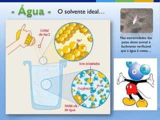 O solvente ideal…



                    Nas extremidades das
                     patas deste animal é
                    facilmente verificável
                    que a água é coesa…
 