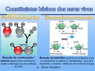 Constituintes básicos dos seres vivos




  Reacção de condensação /                Reacção de hidrólise: quebram-se as ligações entre
síntese: ligação entre monómeros -         os monómeros (o polímero é desdobrado) – para tal é
implica a libertação de uma molécula      necessário o consumo / adição de uma molécula de água
               de H2O!               by    Ana Kastro
 