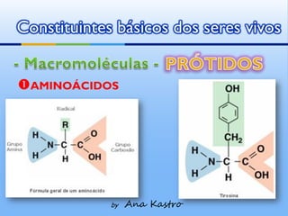Constituintes básicos dos seres vivos


AMINOÁCIDOS




             by   Ana Kastro
 