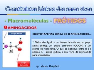Constituintes básicos dos seres vivos


AMINOÁCIDOS
           EXISTEM APENAS CERCA DE 20 AMINOÁCIDOS…


           ▪ Todos têm ligado a um átomo de carbono, um grupo
           amina (NH2), um grupo carboxilo (COOH) e um
           átomo de hidrogénio. O que os distingue entre si é a
           porção R – grupo radical, a qual varia de aminoácido
           para aminoácido.



               by   Ana Kastro
 