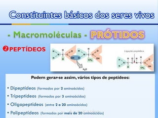 Constituintes básicos dos seres vivos


PEPTÍDEOS


             Podem gerar-se assim, vários tipos de peptídeos:

 ▪ Dipeptídeos (formados por 2 aminoácidos)
 ▪ Tripeptídeos   (formados por 3 aminoácidos)

 ▪ Oligopeptídeos     (entre 2 a 20 aminoácidos)

 ▪ Polipeptídeos   (formados por mais de 20Kastro
                              by Ana aminoácidos)
 