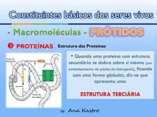 Constituintes básicos dos seres vivos


 PROTEÍNAS   Estrutura das Proteínas

                     ▪ Quando uma proteína com estrutura
                    secundária se dobra sobre si mesmo (por
                    estabelecimento de pontes de hidrogénio), ficando
                       com uma forma globular, diz-se que
                                    apresenta uma:

                          ESTRUTURA TERCIÁRIA

               by   Ana Kastro
 