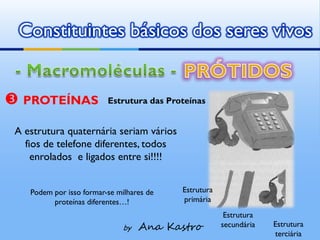 Constituintes básicos dos seres vivos


 PROTEÍNAS               Estrutura das Proteínas


 A estrutura quaternária seriam vários
   fios de telefone diferentes, todos
     enrolados e ligados entre si!!!!


    Podem por isso formar-se milhares de   Estrutura
          proteínas diferentes…!           primária
                                                        Estrutura
                               by   Ana Kastro         secundária   Estrutura
                                                                    terciária
 