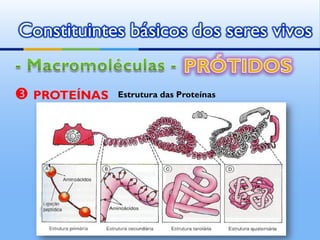 Constituintes básicos dos seres vivos


 PROTEÍNAS   Estrutura das Proteínas




               by   Ana Kastro
 