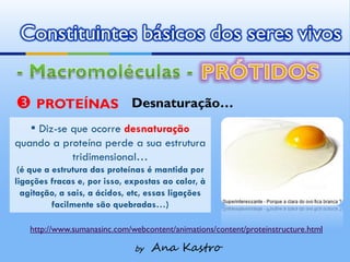 Constituintes básicos dos seres vivos


 PROTEÍNAS                   Desnaturação…
    ▪ Diz-se que ocorre desnaturação
quando a proteína perde a sua estrutura
           tridimensional…
 (é que a estrutura das proteínas é mantida por
ligações fracas e, por isso, expostas ao calor, à
  agitação, a sais, a ácidos, etc, essas ligações
          facilmente são quebradas…)

   http://www.sumanasinc.com/webcontent/animations/content/proteinstructure.html

                              by   Ana Kastro
 