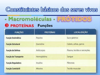 Constituintes básicos dos seres vivos

 PROTEÍNAS   Funções




              by   Ana Kastro
 