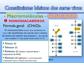 Constituintes básicos dos seres vivos

  MONOSSACARÍDEOS
 Fórmula geral: (CH2O)n
  Os monossacarídeos (muitas vezes apelidados de
“oses”) são classificados de acordo com o número
de átomos de carbono que possuem (…de acordo
   com o número “n” que pode variar entre 3 e 7)

▪ Trioses 3C
▪ Tetroses 5C
▪ Pentoses 5C (ribose e desoxirribose –
componente do DNA)
▪ Hexoses 6C (glucose – o mais importante
“combustível” para a maioria dos seres by Ana
                                       vivos)   Kastro
 