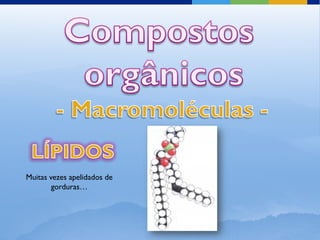 Muitas vezes apelidados de
        gorduras…
 