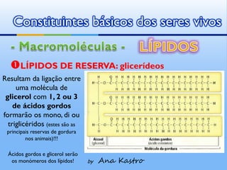 Constituintes básicos dos seres vivos


  LÍPIDOS DE RESERVA: glicerídeos
Resultam da ligação entre
     uma molécula de
 glicerol com 1, 2 ou 3
    de ácidos gordos
formarão os mono, di ou
  triglicéridos (estes são as
 principais reservas de gordura
         nos animais)!!!

  Ácidos gordos e glicerol serão
   os monómeros dos lípidos!       by   Ana Kastro
 