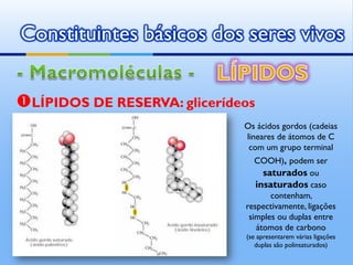 Constituintes básicos dos seres vivos


LÍPIDOS DE RESERVA: glicerídeos
                                  Os ácidos gordos (cadeias
                                  lineares de átomos de C
                                   com um grupo terminal
                                     COOH), podem ser
                                       saturados ou
                                     insaturados caso
                                         contenham,
                                  respectivamente, ligações
                                   simples ou duplas entre
                                     átomos de carbono
                                  (se apresentarem várias ligações
                                     duplas são polinsaturados)
                by   Ana Kastro
 