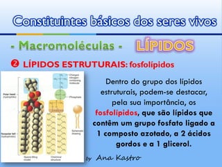 Constituintes básicos dos seres vivos


 LÍPIDOS ESTRUTURAIS: fosfolípidos
                          Dentro do grupo dos lípidos
                        estruturais, podem-se destacar,
                            pela sua importância, os
                      fosfolípidos, que são lípidos que
                     contêm um grupo fosfato ligado a
                       1 composto azotado, a 2 ácidos
                             gordos e a 1 glicerol.
                by   Ana Kastro
 