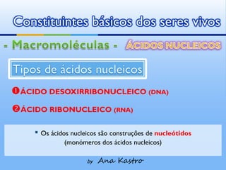 Constituintes básicos dos seres vivos



ÁCIDO DESOXIRRIBONUCLEICO (DNA)
ÁCIDO RIBONUCLEICO (RNA)

    ▪ Os ácidos nucleicos são construções de nucleótidos
             (monómeros dos ácidos nucleicos)

                     by   Ana Kastro
 