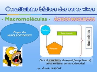 Constituintes básicos dos seres vivos


   O que são
NUCLEÓTIDOS???



                          Pentose



                  Os ácidos nucleicos são repetições (polímeros)
                       destas unidades, destes nucleótidos!
                 by   Ana Kastro
 