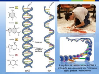 A sequência de bases azotadas do DNA é
única pelo que nos confere uma “impressão
       digital genética” inconfundível!
 