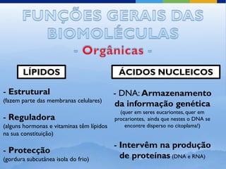 LÍPIDOS                              ÁCIDOS NUCLEICOS

- Estrutural                               - DNA: Armazenamento
(fazem parte das membranas celulares)
                                           da informação genética
                                             (quer em seres eucariontes, quer em
- Reguladora                               procariontes, ainda que nestes o DNA se
(alguns hormonas e vitaminas têm lípidos       encontre disperso no citoplama!)
na sua constituição)
                                           - Intervêm na produção
- Protecção
(gordura subcutânea isola do frio)           de proteínas (DNA e RNA)
 