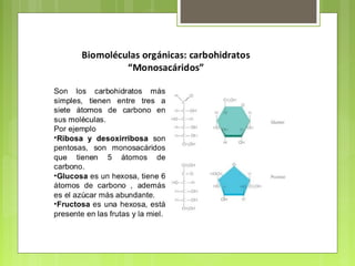 3   biomoleculas