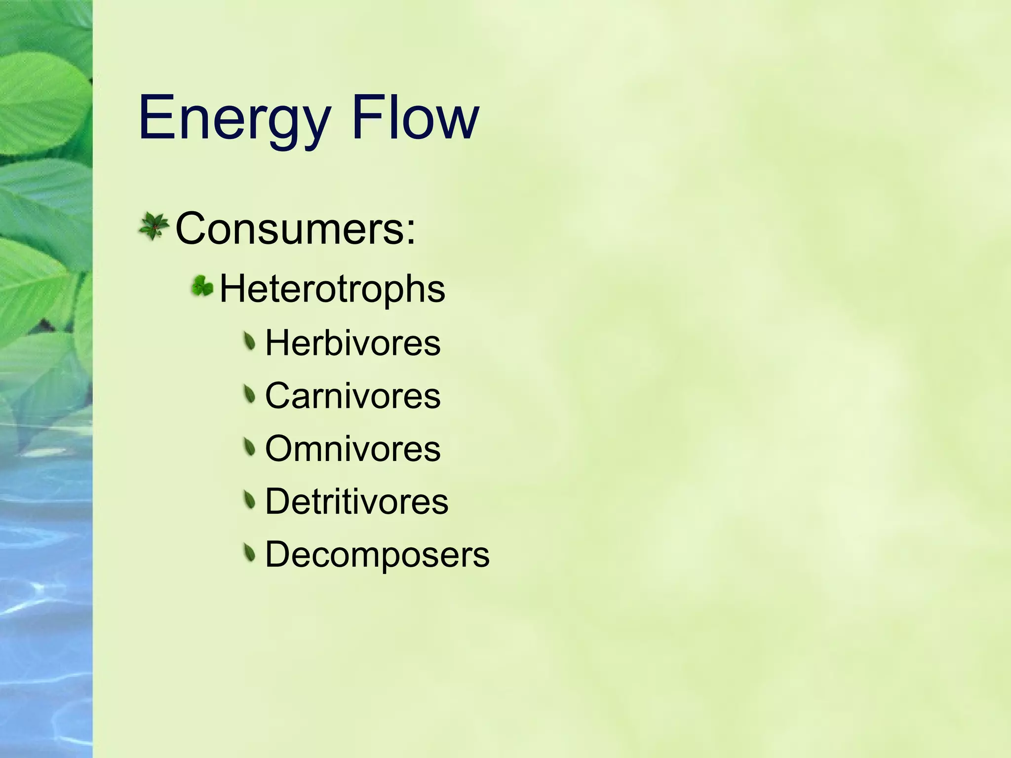 Energy Flow Consumers: Heterotrophs Herbivores Carnivores Omnivores Detritivores Decomposers 