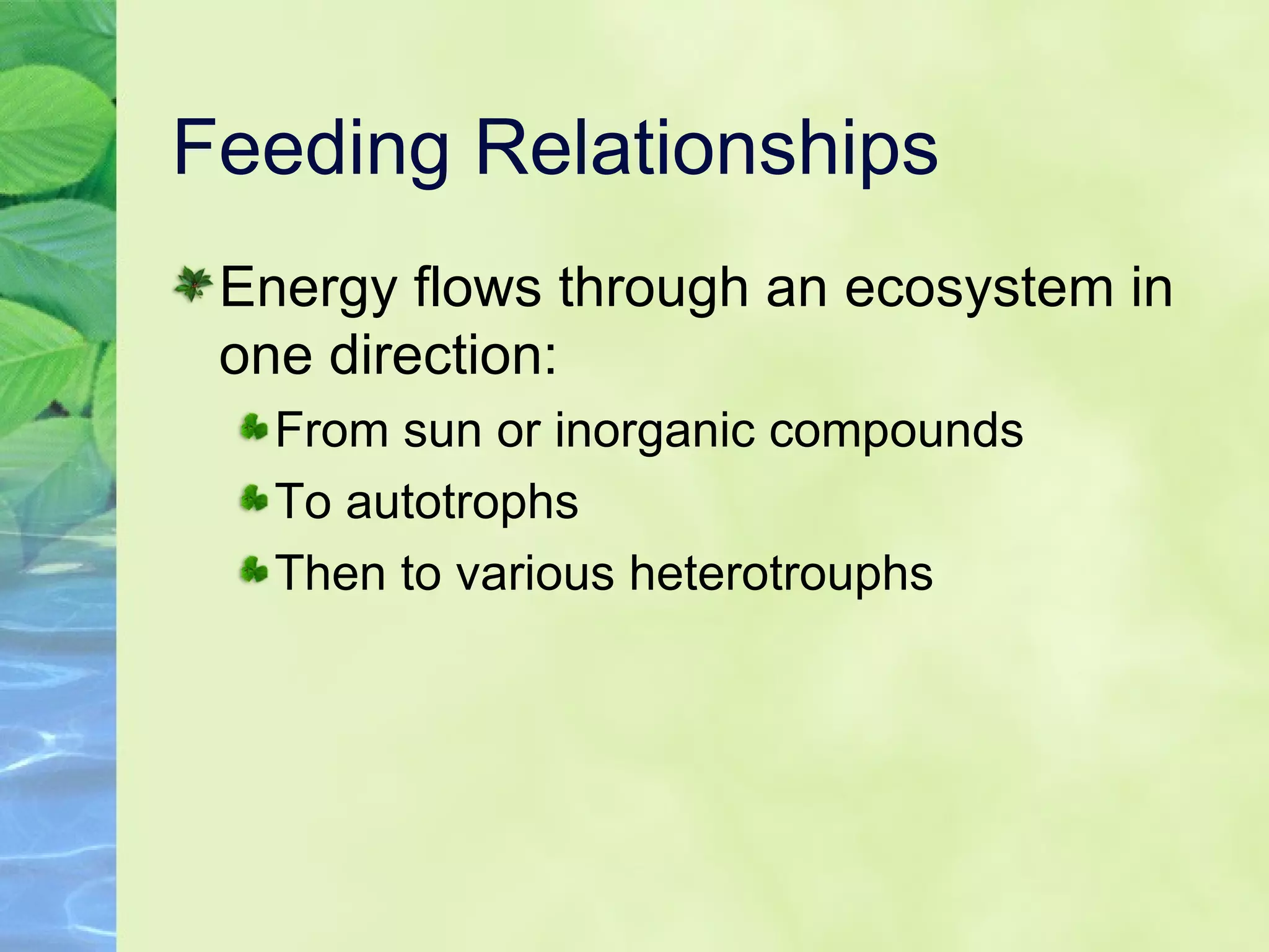 Feeding Relationships Energy flows through an ecosystem in one direction:  From sun or inorganic compounds  To autotrophs  Then to various heterotrouphs  