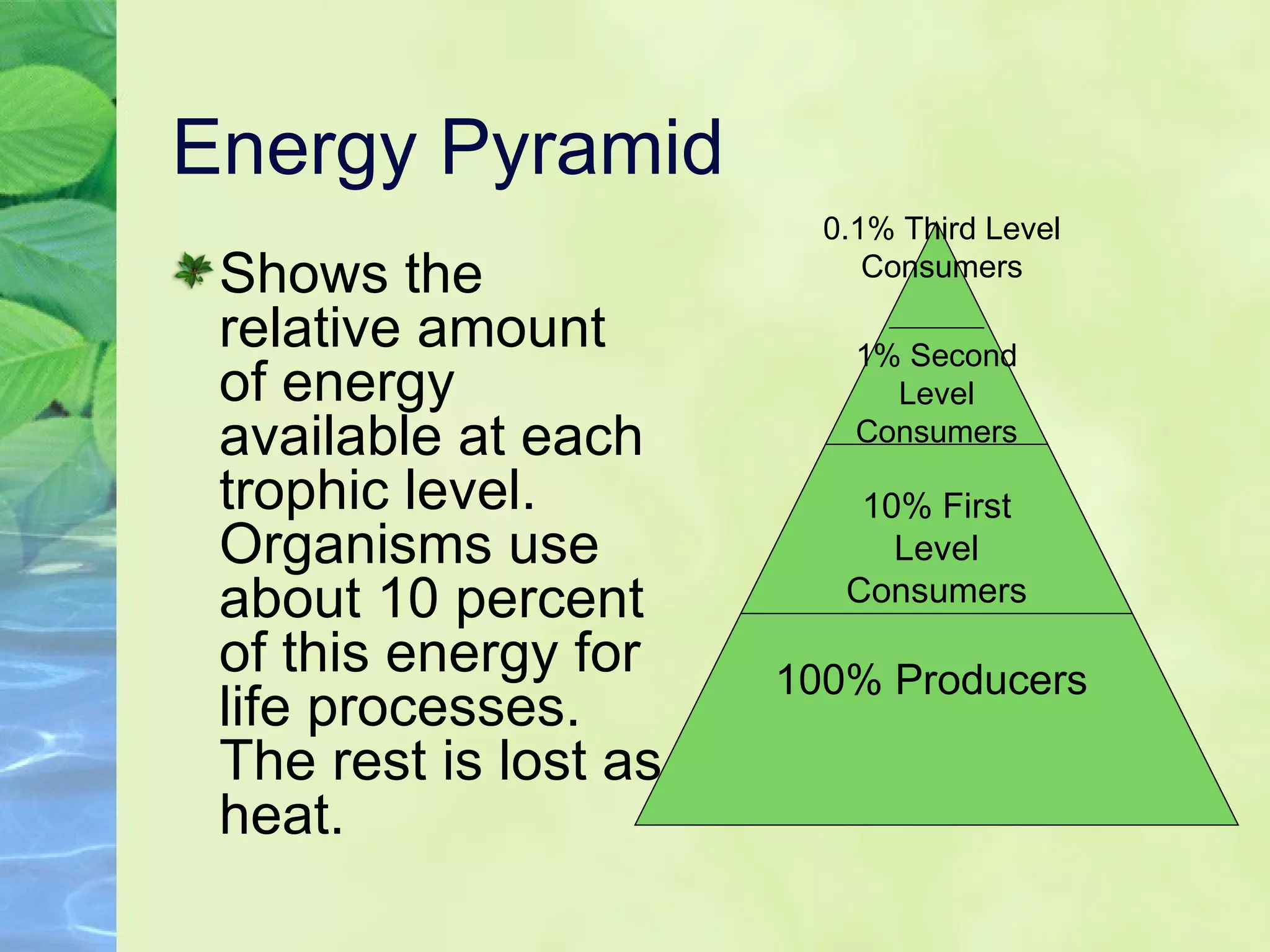 Energy Pyramid Shows the relative amount of energy available at each trophic level. Organisms use about 10 percent of this energy for life processes. The rest is lost as heat. 100% Producers 10% First Level Consumers 1% Second Level Consumers 0.1% Third Level Consumers 
