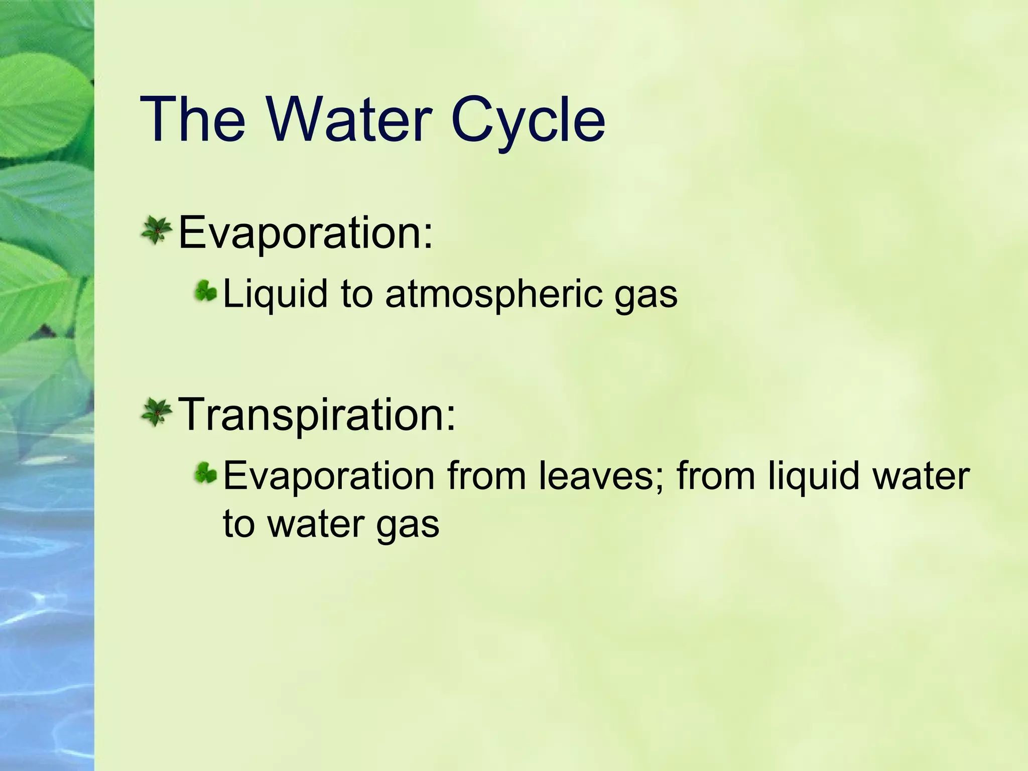 The Water Cycle Evaporation:  Liquid to atmospheric gas Transpiration: Evaporation from leaves; from liquid water to water gas 
