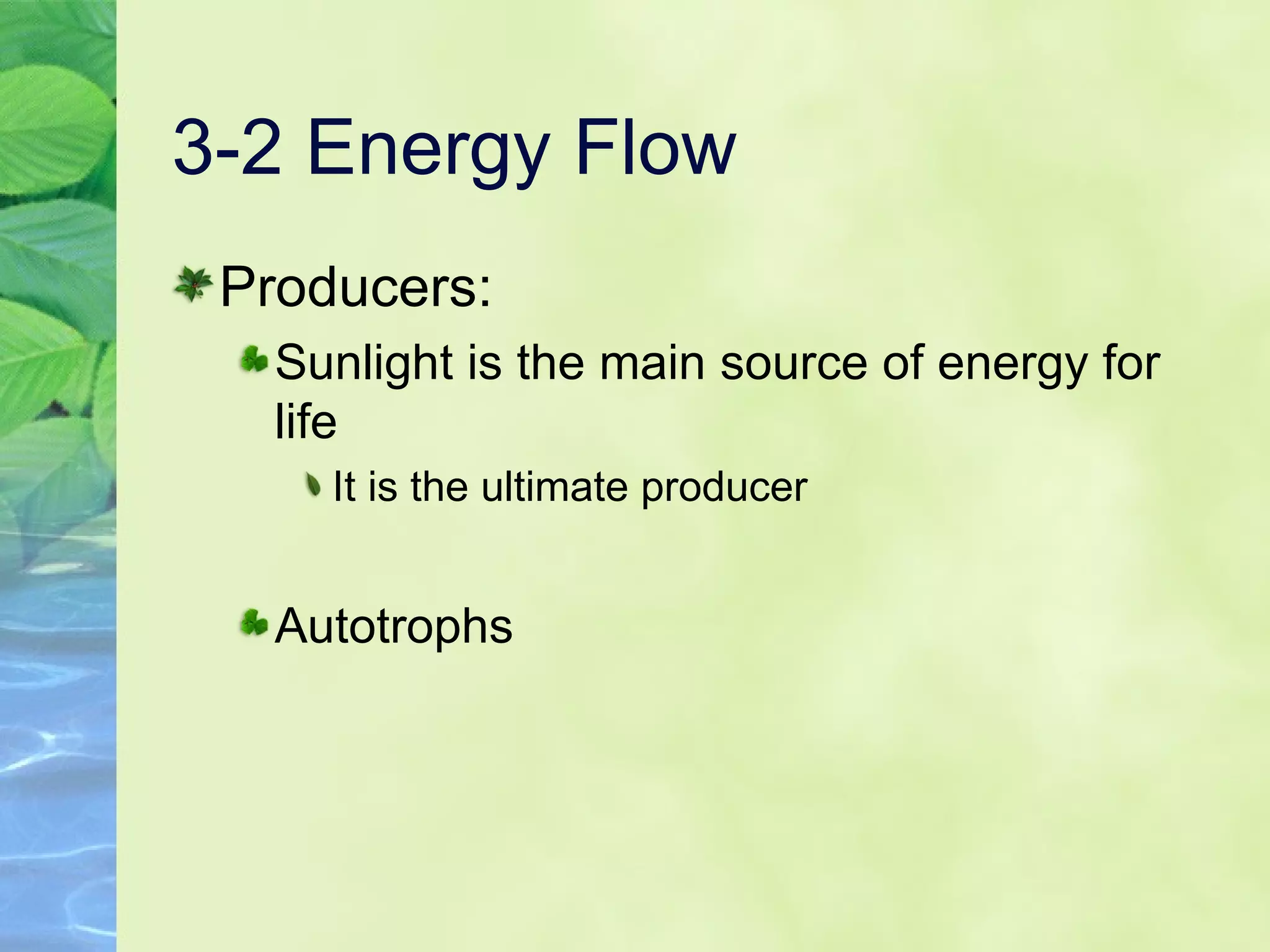 3-2 Energy Flow Producers:  Sunlight is the main source of energy for life It is the ultimate producer Autotrophs 