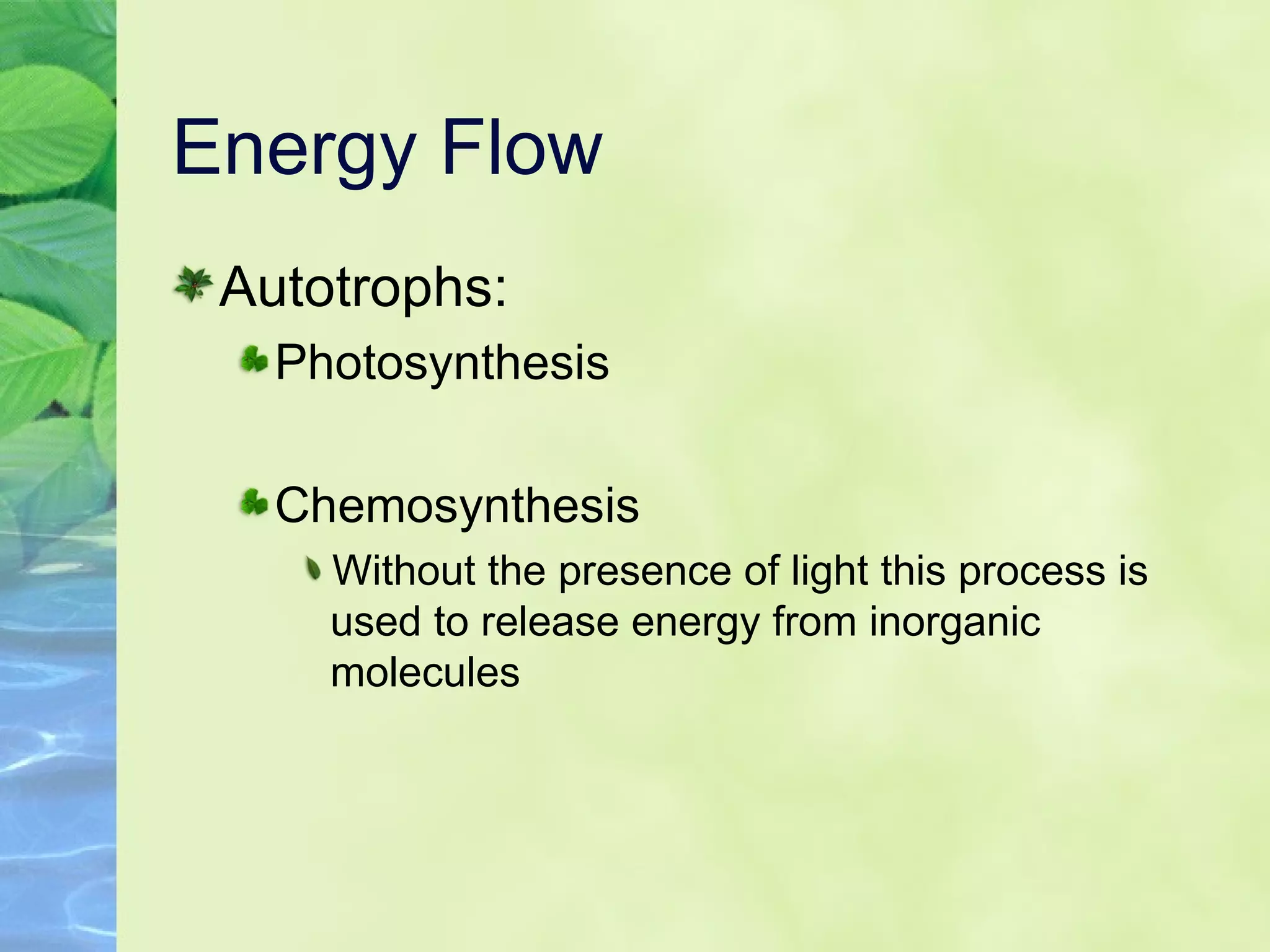 Energy Flow Autotrophs: Photosynthesis Chemosynthesis Without the presence of light this process is used to release energy from inorganic molecules  