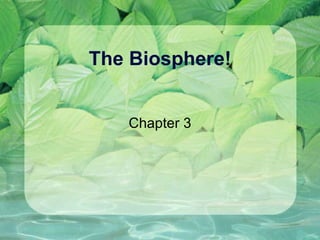 The Biosphere! Chapter 3 