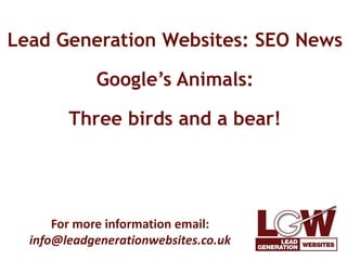 Lead Generation Websites: SEO News 
Google’s Animals: 
Three birds and a bear! 
For more information email: 
info@leadgenerationwebsites.co.uk 
 